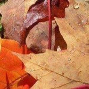 Meet your Posher, Debby